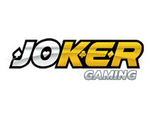 sudoku puzzles books
